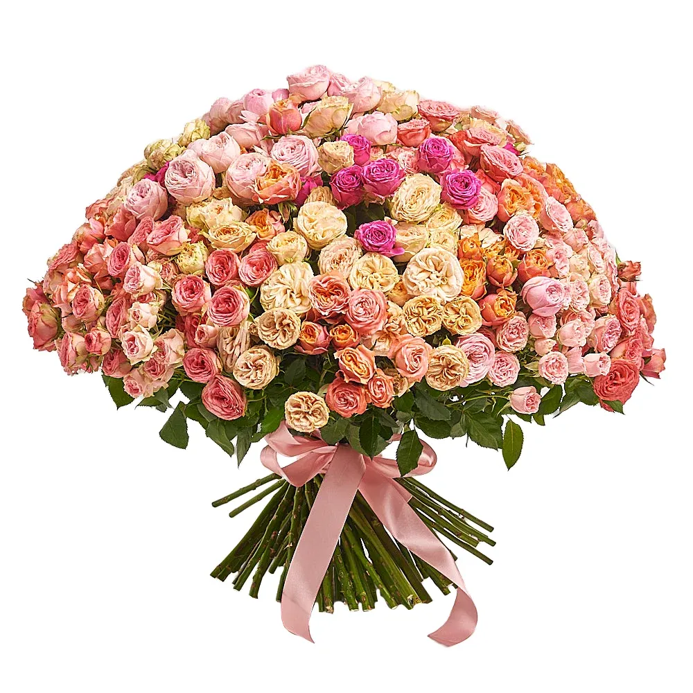 101 пионовидная кустовая роза