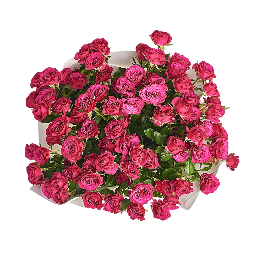 15 малиновых кустовых роз