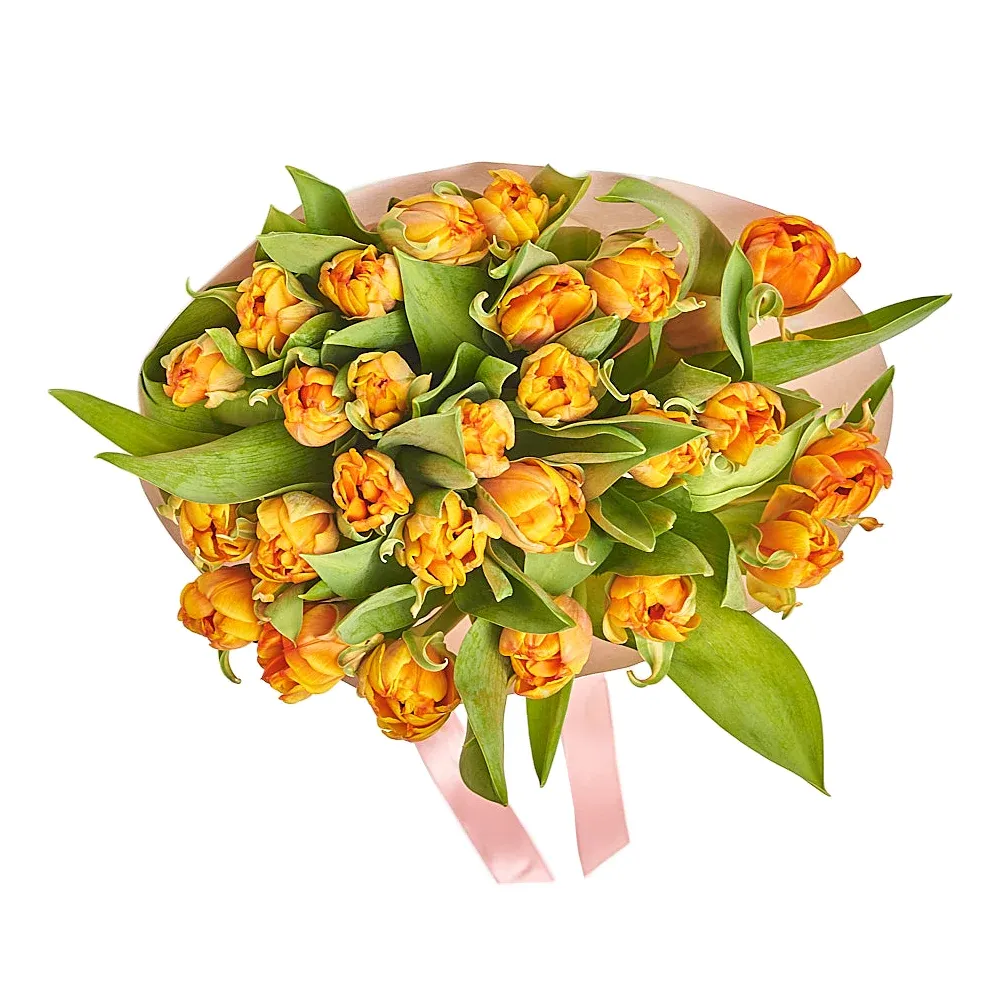 25 оранжевых пионовидных тюльпанов