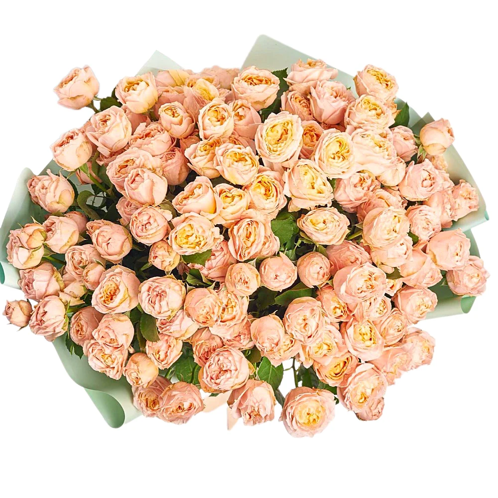 25 персиковых пионовидных роз