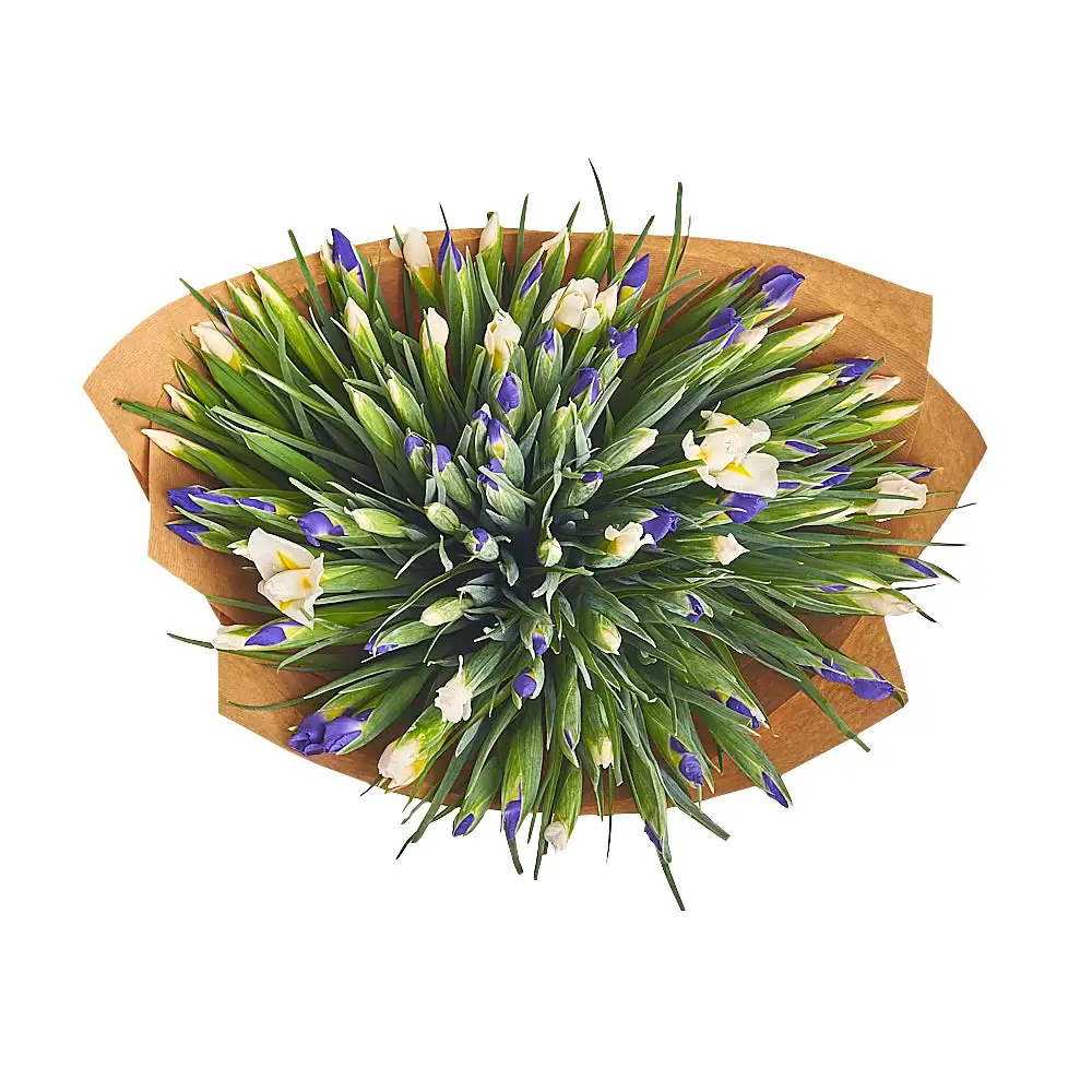 Букет из 101 ириса в крафте