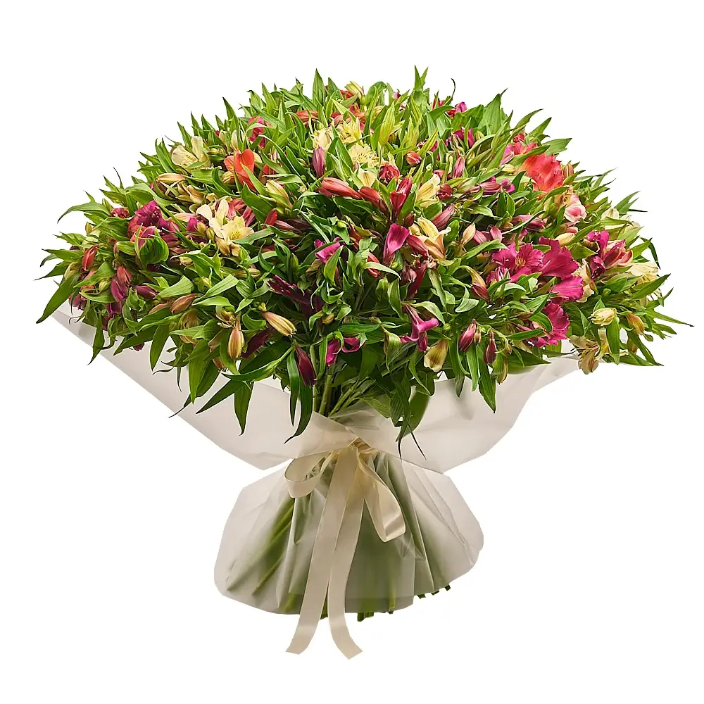 Букет из 101 разноцветной альстромерии