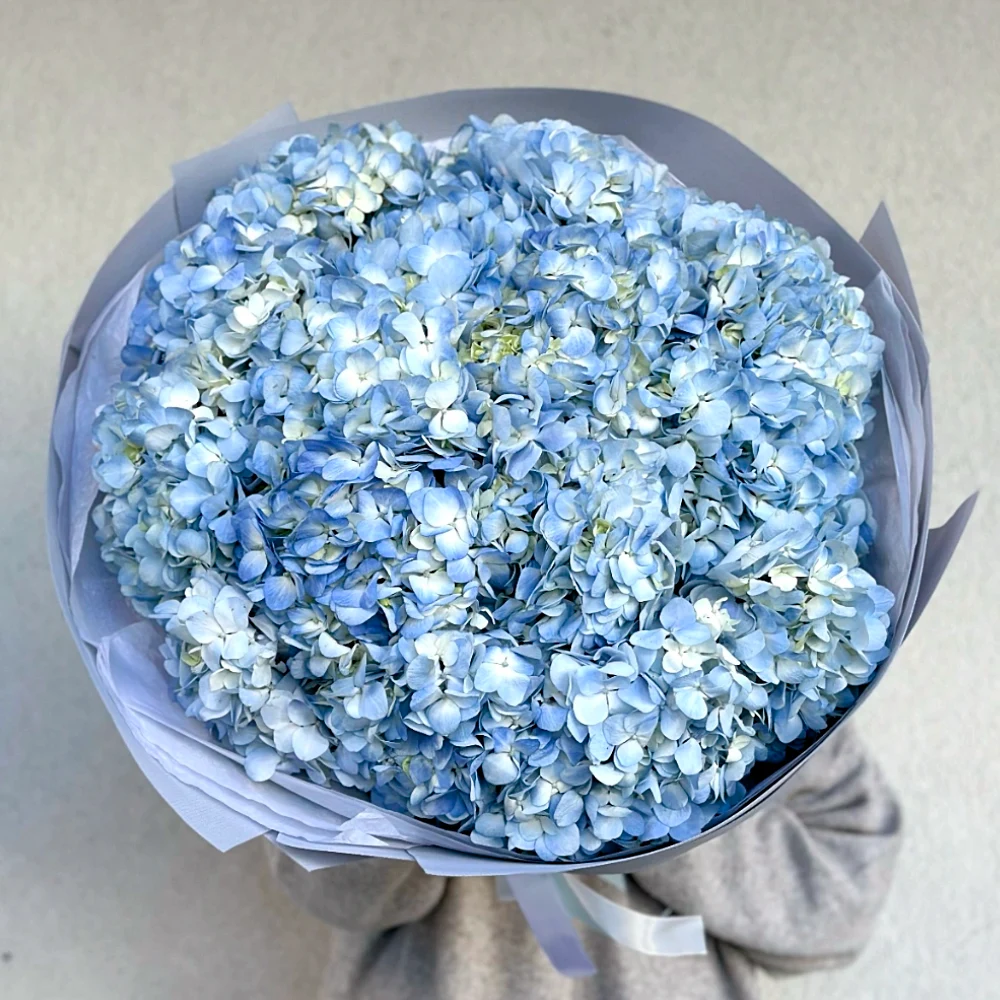 Букет из 11 голубых гортензий