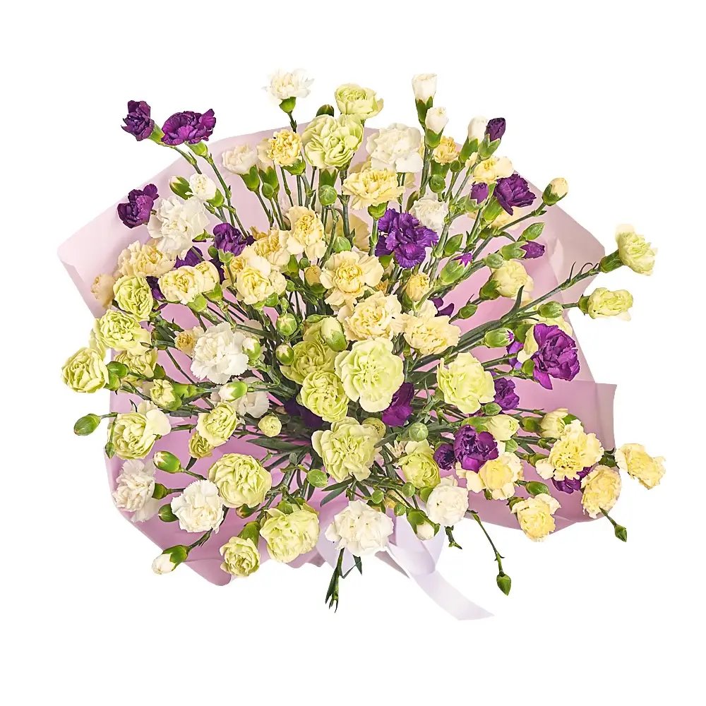 Букет из 25 лимонных диантусов