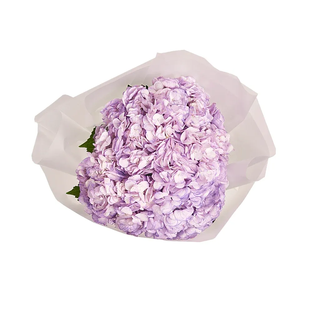 Букет из 5 лиловых гортензий