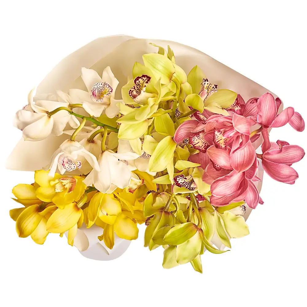 Букет из 5 орхидей