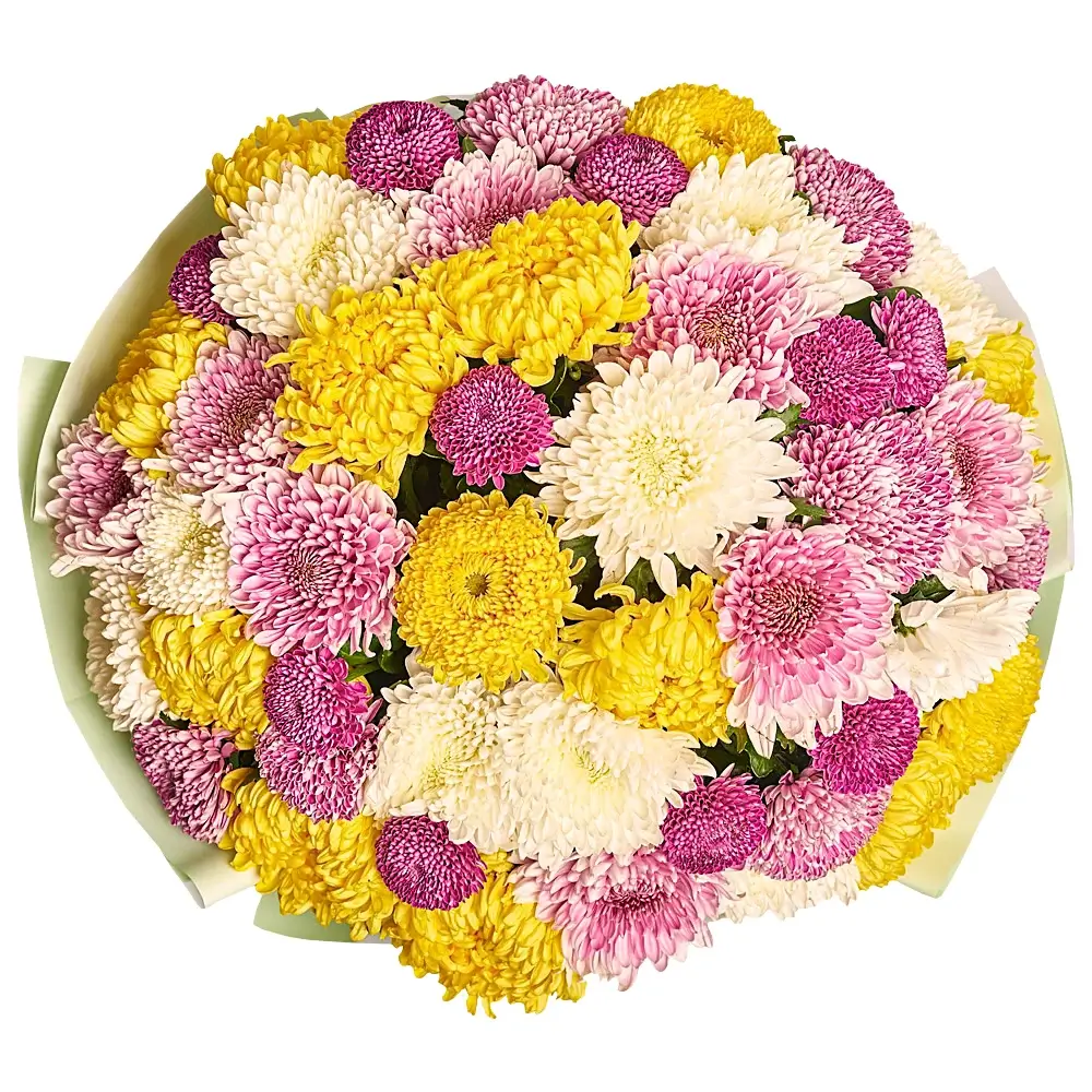 Букет из 51 одноголовой хризантемы