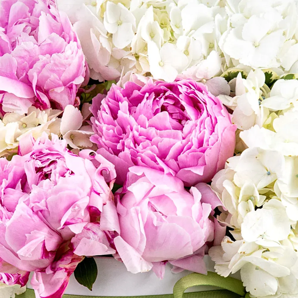 Цветы в коробке