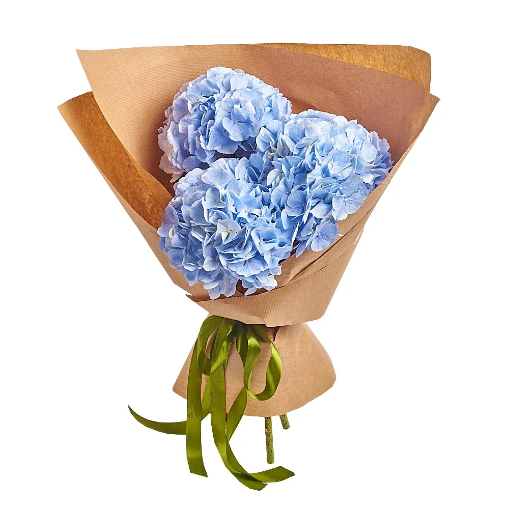 Моно букет 3 голубых гортензий